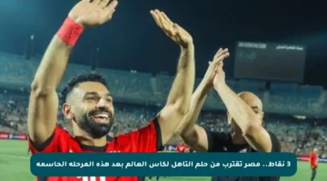3 نقاط.. مصر تقترب من حلم التأهل لكأس العالم بعد هذه المرحلة الحاسمة
